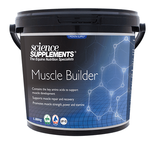 Muscle Builder 860g - Horse Muscle Building Supplement - SVS Equine